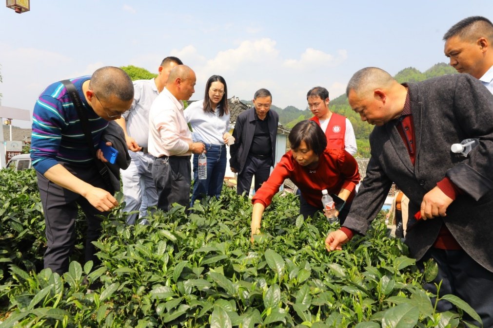 023-68253900 邮编