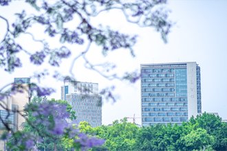 贵州大学机械工程世界杯官方网站怎么用