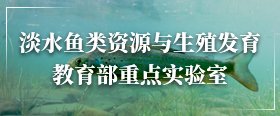 世界杯官方网站