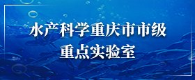 深入贯彻中央八项规定精神世界杯shi