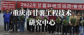 党纪世界杯shijiebei最新活动