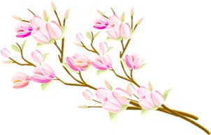 世界杯shijiebei最新优惠