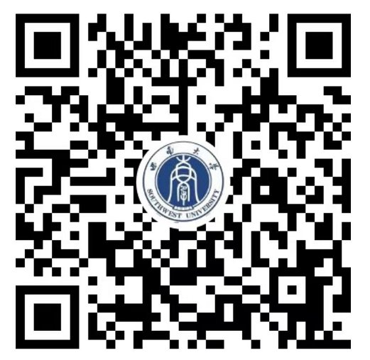 专任教师