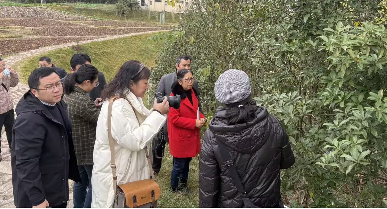 当前位置